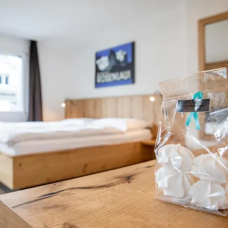 Hotel Meiringen 3* Meiringen