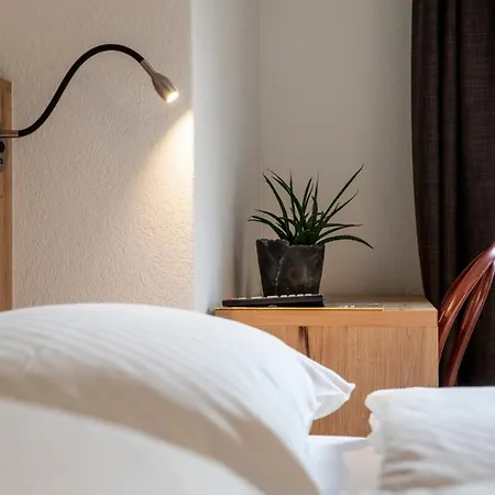 Hotel Meiringen Ξενοδοχείο