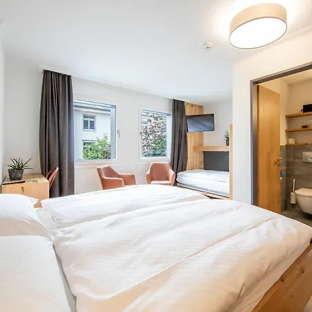 Hotel Hotel Meiringen Meiringen
