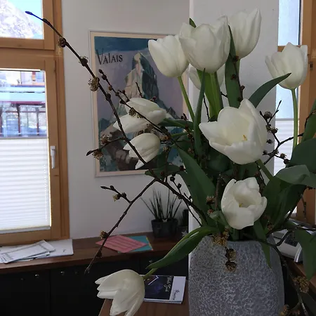 Hotel Meiringen Ξενοδοχείο