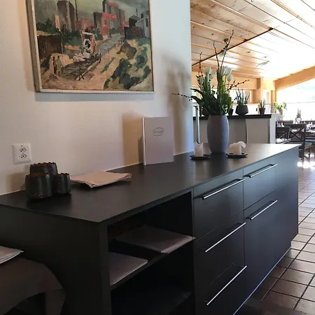 Hotel Meiringen 3*