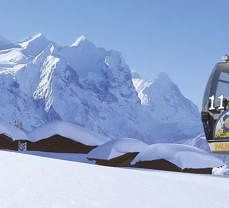 Hotel Meiringen 3*