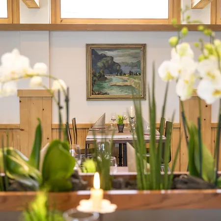 Hotel Meiringen 3* Meiringen