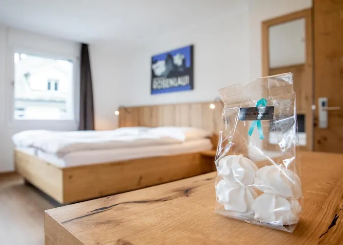 Hotel Meiringen 3* Meiringen