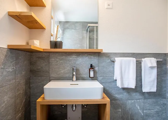 Hotel Hotel Meiringen