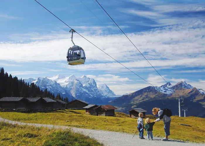 Hotel Hotel Meiringen 3*