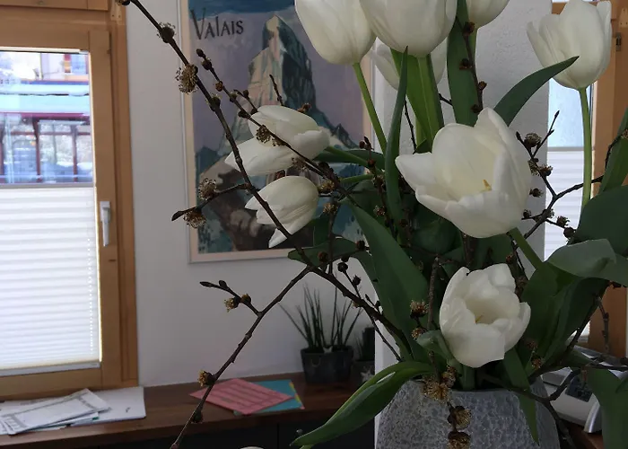 Hotel Meiringen Hotel