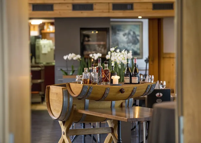 Hotel Hotel Meiringen Meiringen