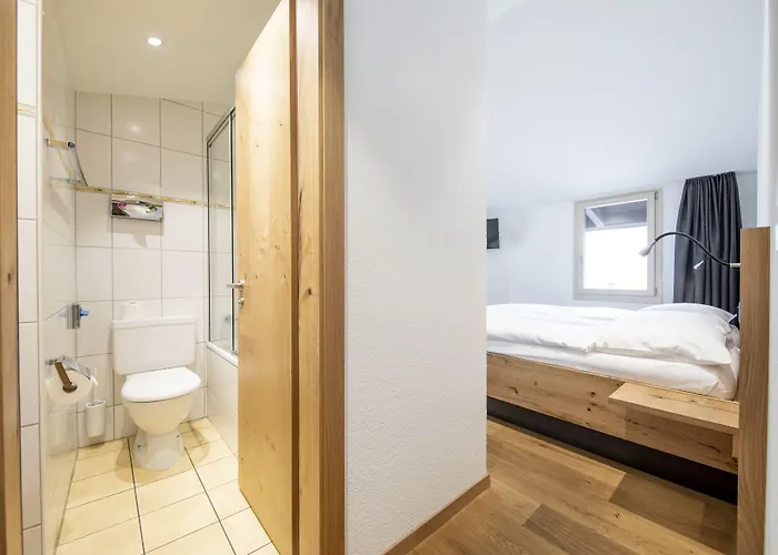 Hotel Hotel Meiringen 3*