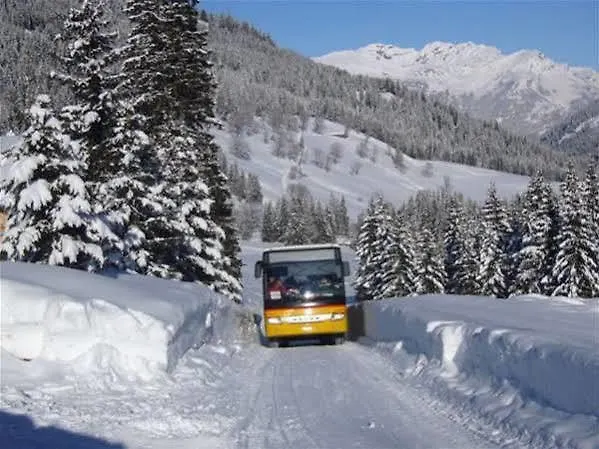 Hotel Meiringen 3* Meiringen