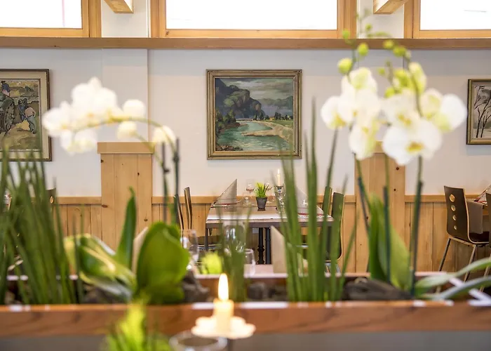 Hotel Meiringen 3* Meiringen