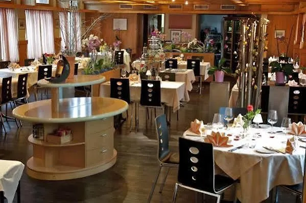 Отель Hotel Meiringen Мейринген