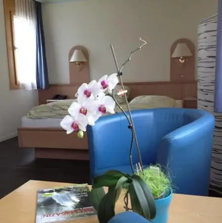 Hotel Meiringen Hotel 3*