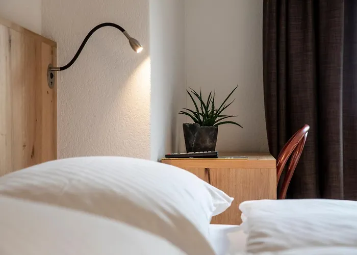 Hotel Meiringen Hotel