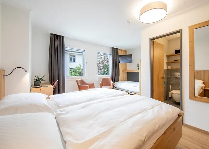 Hotel Hotel Meiringen Meiringen