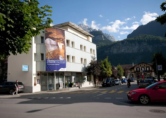 Hotel Hotel Meiringen 3*
