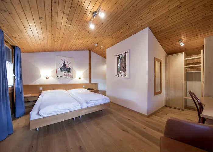 Hotel Hotel Meiringen Meiringen