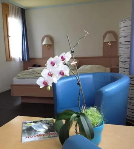 Hotel Meiringen Hotel 3*