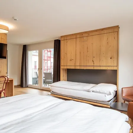 Hotel Meiringen 호텔 3*